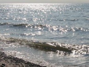 joans water and light