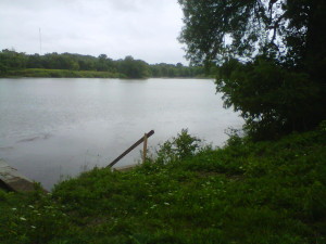 IMG-20140823-00458
