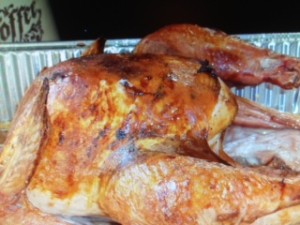 abbyturkey pic-1