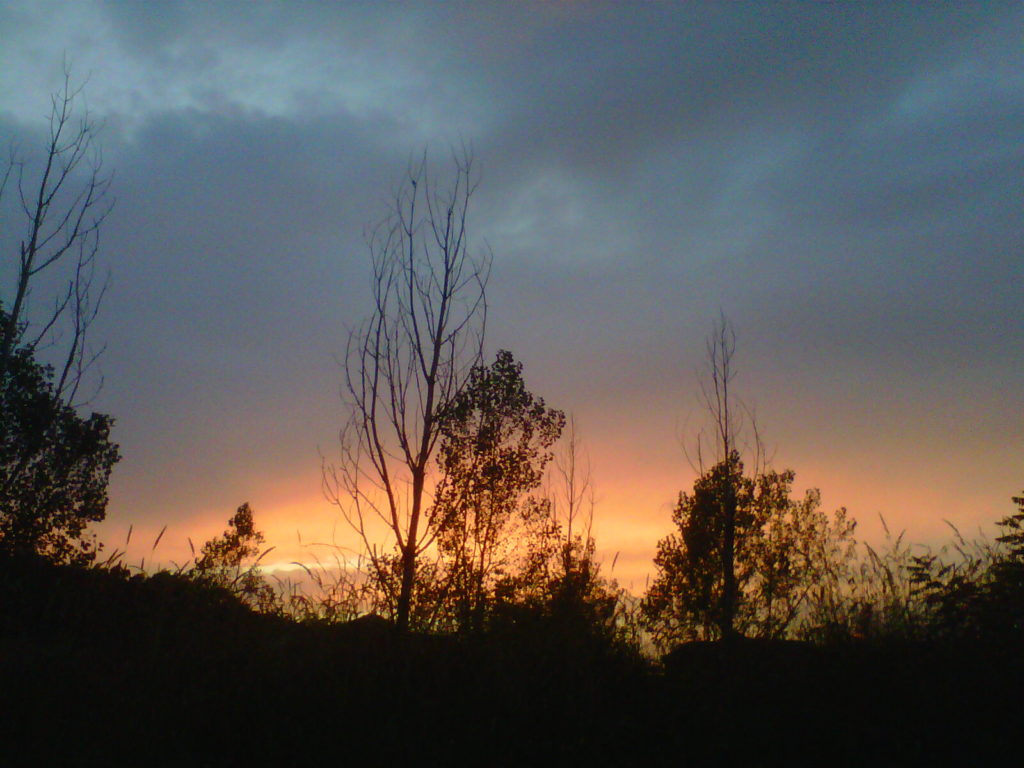 sun rise sunset 